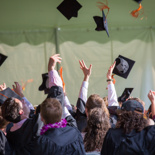 Eğitim Organizasyonu